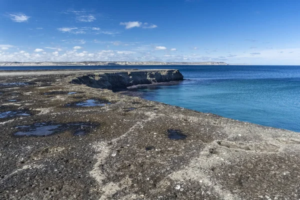 Coastal Landscape Cliffs Patagonia Argentina — Stock Photo, Image