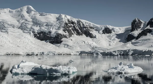 Χιονισμένα Βουνά Στον Κόλπο Paraiso Antartica — Φωτογραφία Αρχείου