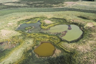 Taze su kaynağı, Pampas manzarası, Arjantin