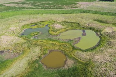 Taze su kaynağı, Pampas manzarası, Arjantin