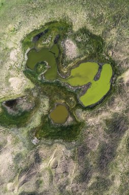 Taze su kaynağı, Pampas manzarası, Arjantin