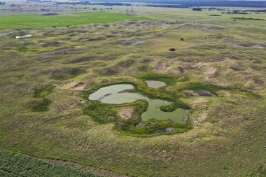 Taze su kaynağı, Pampas manzarası, Arjantin