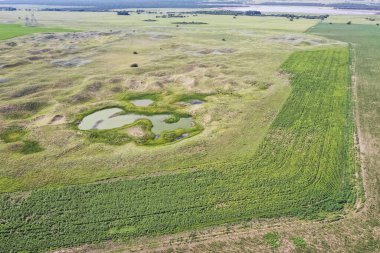Taze su kaynağı, Pampas manzarası, Arjantin