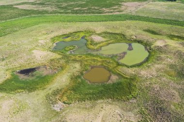 Taze su kaynağı, Pampas manzarası, Arjantin