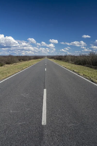 Route in the Pampas plain, Patagonia, Argentina
