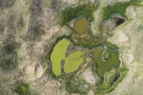 Taze su kaynağı, Pampas manzarası, Arjantin