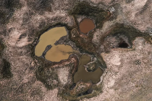 Taze su kaynağı, sonbaharda, Pampas manzarası, Arjantin