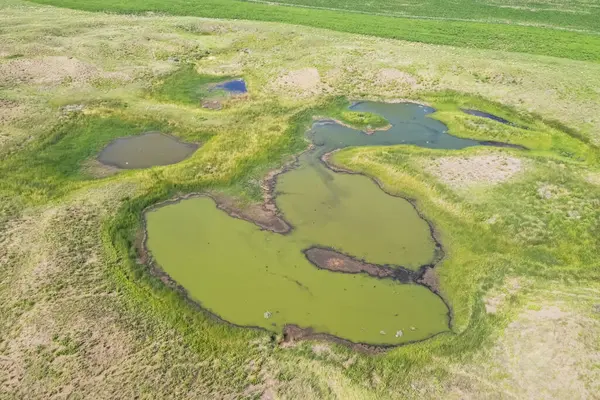 Taze su kaynağı, Pampas manzarası, Arjantin