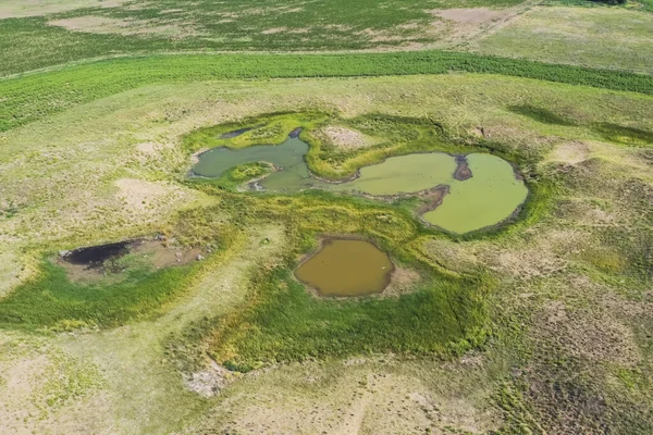 Taze su kaynağı, Pampas manzarası, Arjantin
