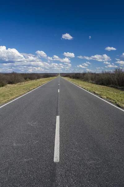 Route in the Pampas plain, Patagonia, Argentina