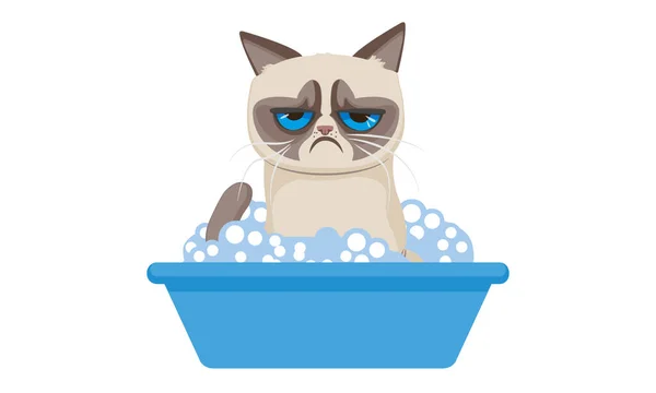 Huysuz Kedi Havuzda Yıkanıyor — Stok Vektör