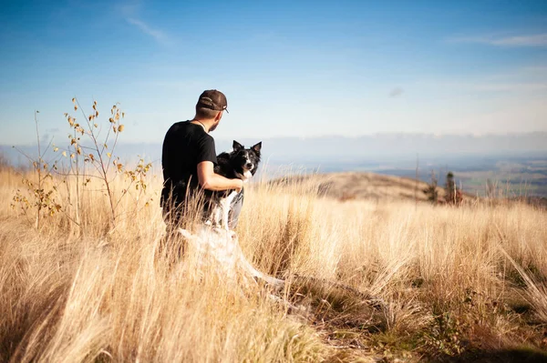Człowiek siedzący ze swoim psem na górskiej łące. Czarne i białe obwódki w wysokiej złotej trawie. — Zdjęcie stockowe