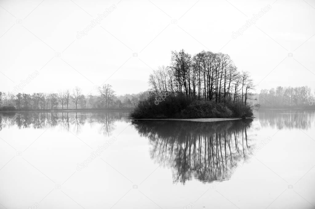 Black and white photo of small isle with trees in the middle of big pond.