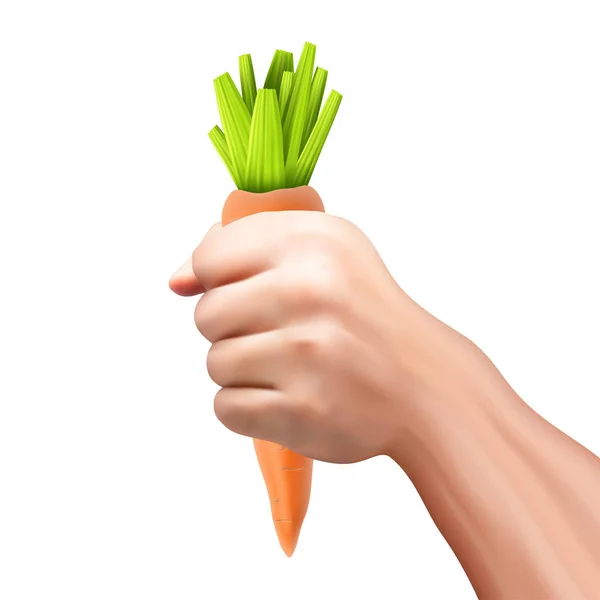 Zanahoria en la mano 01 — Vector de stock