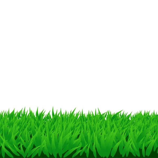 Hierba verde aislada — Vector de stock
