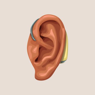 realisitc işitme cihazı ve kulak