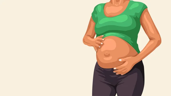 孕妇腹部白皙 — 图库矢量图片