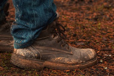 Ayakkabı kiri ayakkabısı turizm orman yürüyüşü