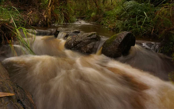 Acqua che scorre in torrente con lunga esposizione — Foto Stock