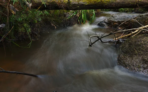 Acque correnti del torrente catturate a lunga esposizione — Foto Stock