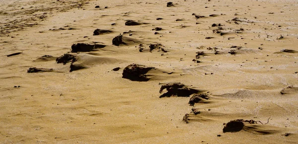 Areia de praia coberta com cabeças parecidas com criaturas — Fotografia de Stock