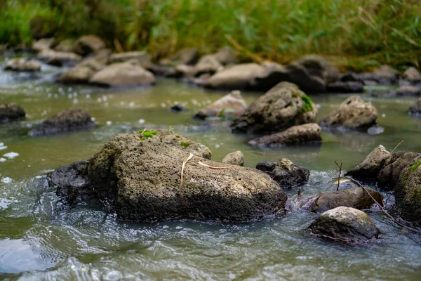 Fiume Roccioso Con Piante Selvatiche Dolcemente Sfocate Sullo Sfondo — Foto Stock