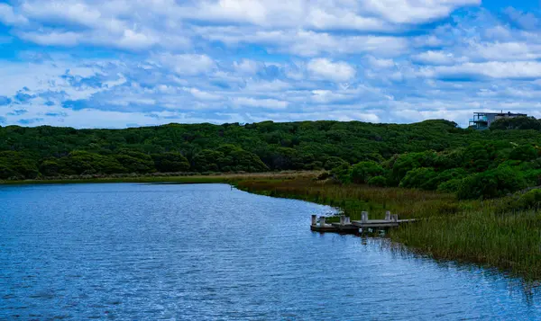 Paisaje Vista Del Lago Pequeño Muelle Rodeado Plantas Silvestres Verdes — Foto de Stock
