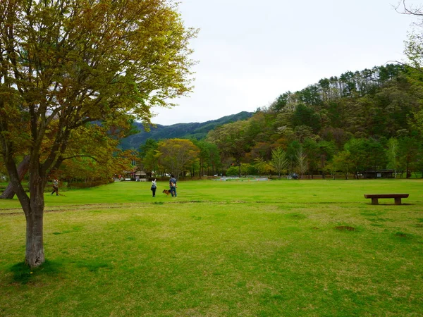 Lago Kawaguchi Galeria Arte Lawn Square Paisagismo Área Parque Longo — Fotografia de Stock