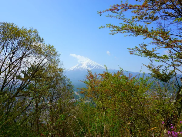 Fuji View Top Mountain Tenjo Yama Landscape Beautiful Mount Fuji — ストック写真