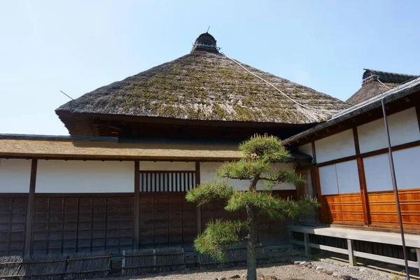 Ιαπωνικό Μαύρο Πεύκο Pinus Thunbergii Ασιατικό Τοπίο Vintage Ιαπωνική Αρχιτεκτονική — Φωτογραφία Αρχείου