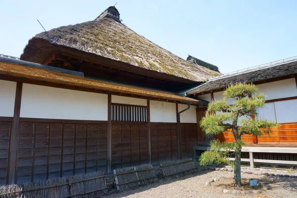 Japonská Černá Borovice Pinus Thunbergii Asijská Krajina Stará Japonská Architektura — Stock fotografie