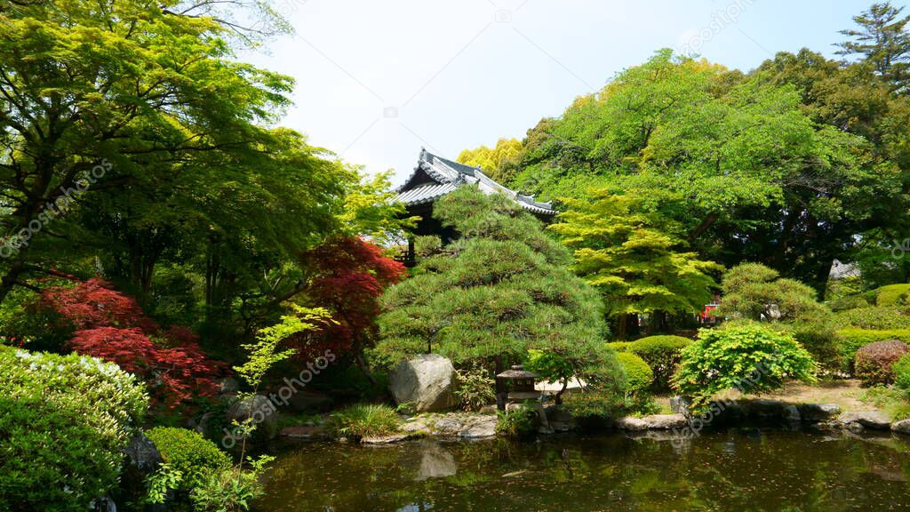 Ashikaga, Tochigi / Japan April 29, 2019: Walk in japanese garden Bannaji Temple is the most famous Buddhist temple in Ashikaga City