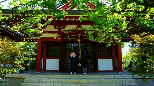 Токио Япония Мая 2019 Года Храм Камейдо Тэндзин Две Японки — стоковое фото