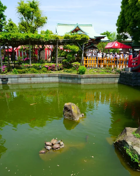 Tokyo Giappone Maggio 2019 Rilassanti Giardini Nel Santuario Kameido Tenjin — Foto Stock