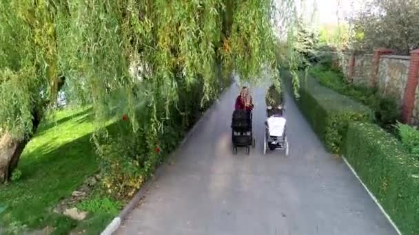 Dos Madres Jóvenes Están Caminando Con Cochecitos Hermoso Parque Niños — Vídeo de stock