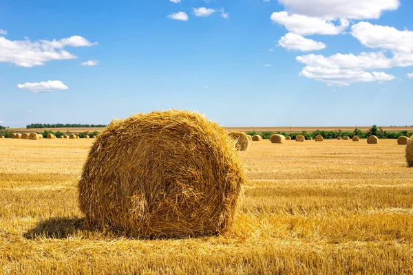 Rural landscapes. Rolls of haystacks on the field — Stock Photo, Image
