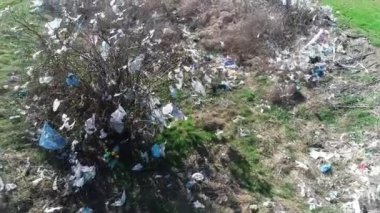 Çevre kirliliği. Ağaçlardaki çöpler. Doğaya karşı kötü tavır. Çöp. ekoloji kavramı.