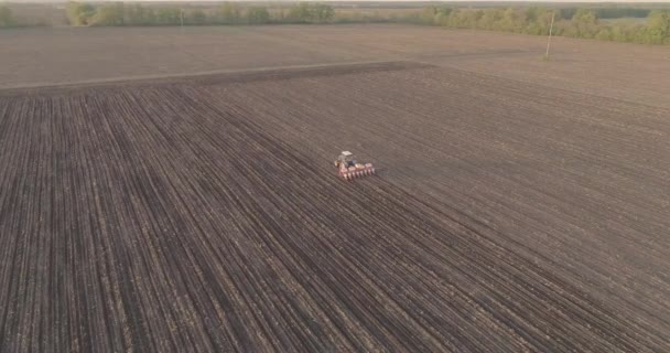 Un tracteur agricole effectue des travaux de semis de céréales. travail saisonnier. tir de drone de l'air 