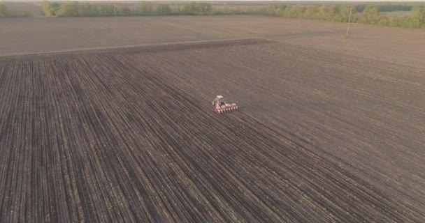 Trator Agrícola Realiza Trabalhos Semeadura Grãos Trabalho Sazonal Drone Tiroteio — Vídeo de Stock