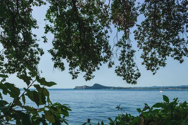 Blick auf den See durch das dichte Laub. Stockbild
