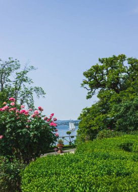 Garda Gölü kıyısında güzel bitkiler. İtalya