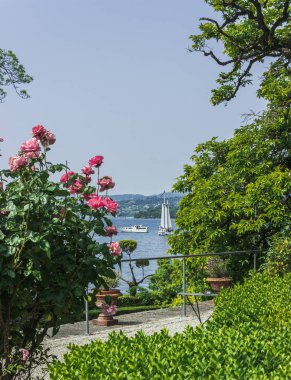 Garda Gölü kıyısında güzel bitkiler. İtalya