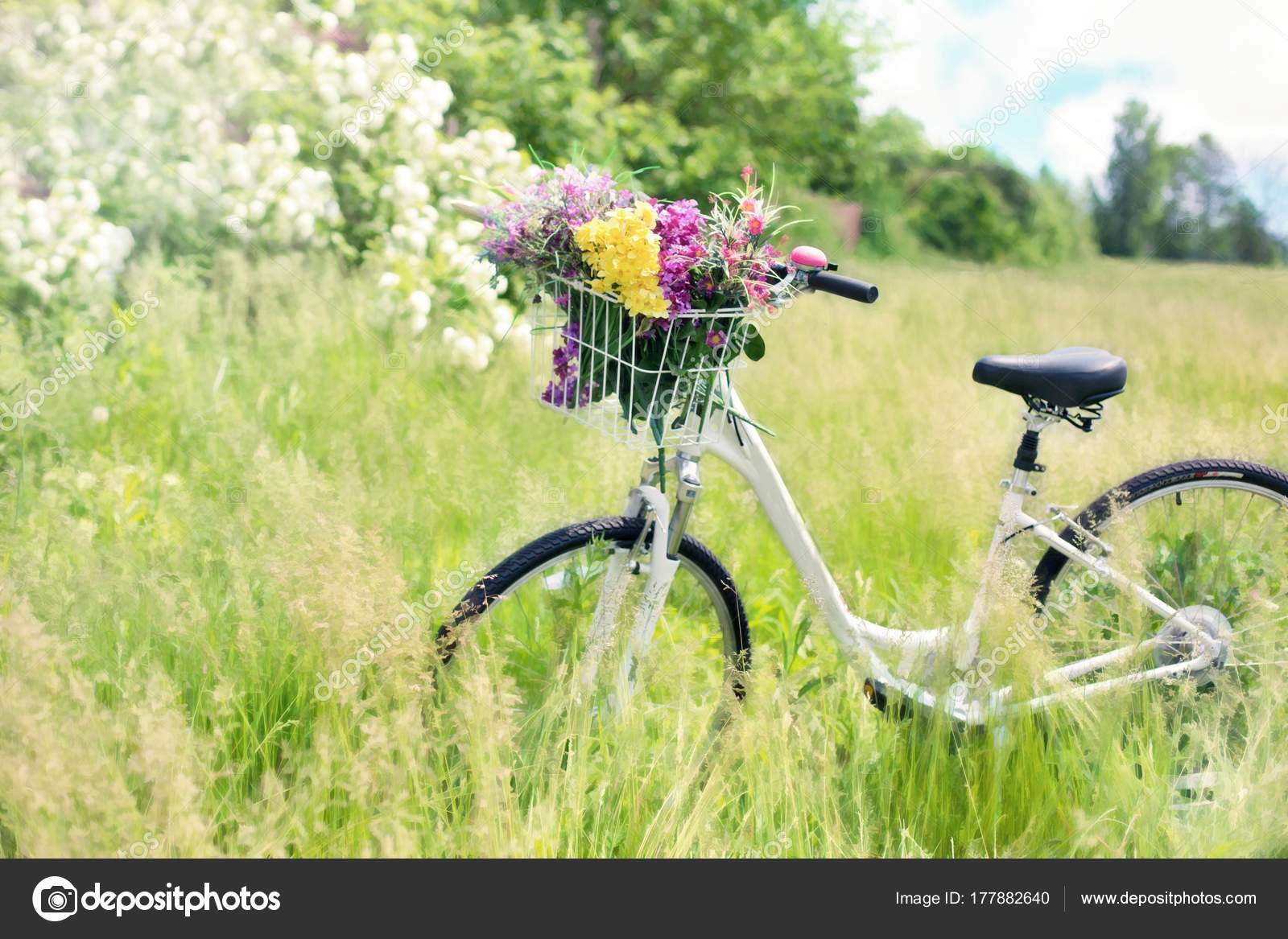 Ανοιξιάτικα Λουλούδια Πράσινο Γρασίδι Τοπία — Φωτογραφία Αρχείου