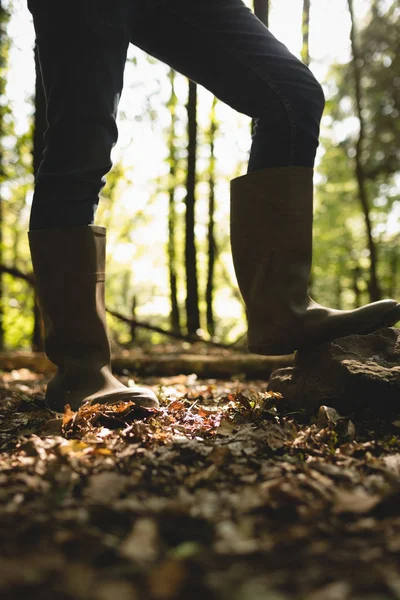 Laag Deel Van Mens Het Bos — Stockfoto