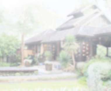 Soyut ve dış arka plan bulanıklık