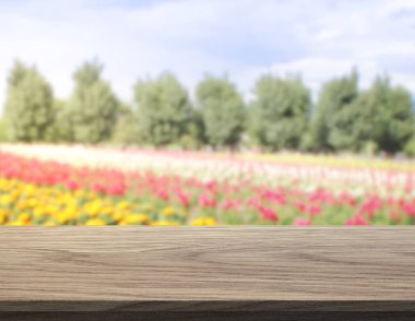 Arkaplan için Tablo Üstü ve Görüntü Doğası