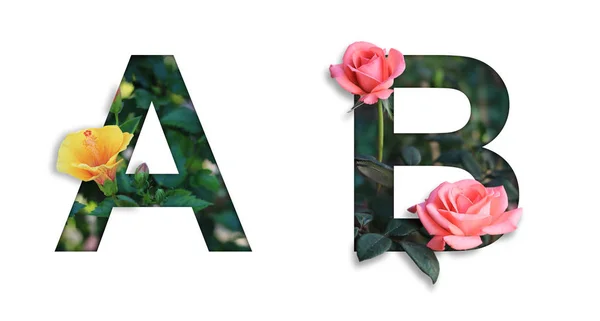 Шрифт с цветком A, B сделано из цветка для оформления декора — стоковое фото