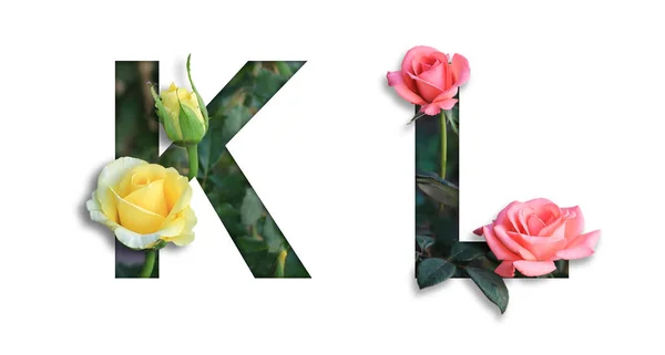 Font with flower K-L made form flower for desing decoration — Stock Photo, Image