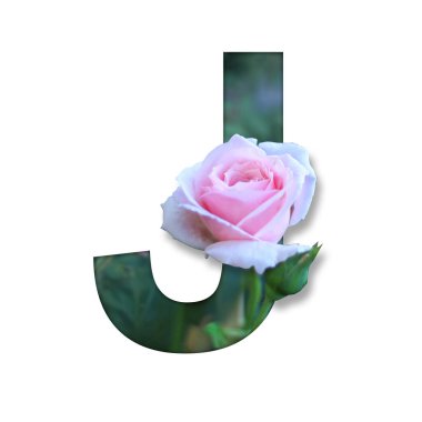 J çiçekli yazı tipi desing süsleme için çiçek oluşturdu