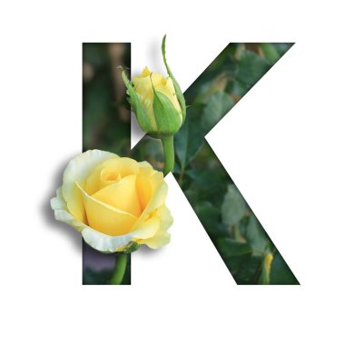 K çiçekli yazı tipi desing süsleme için çiçek oluşturdu